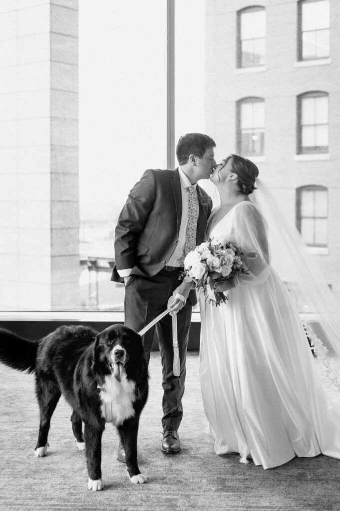 Dog-friendly Boston wedding venues with the help of For The Love of Paws