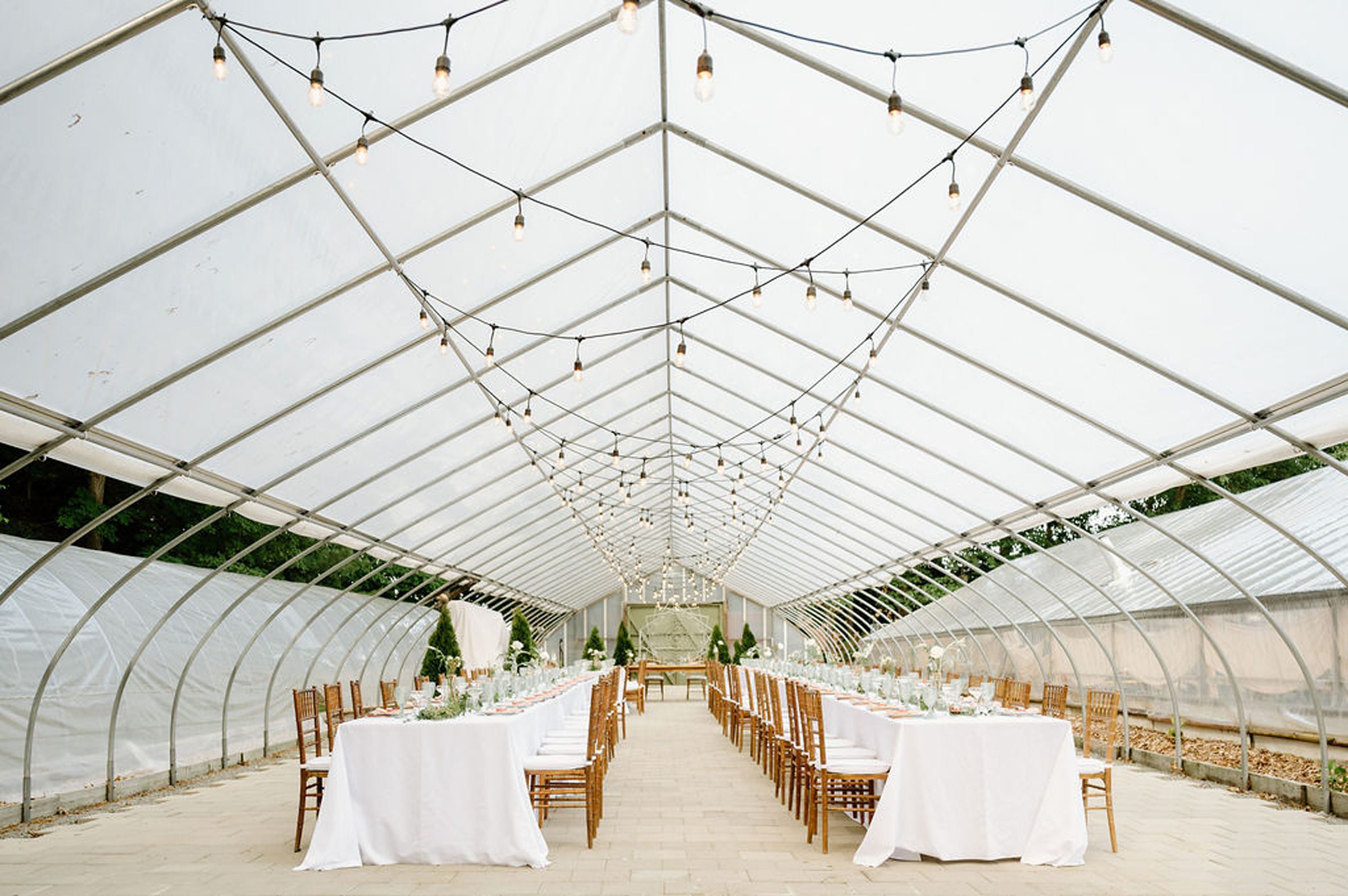 Herb Lyceum Greenhouse, with chairs and string lights. 