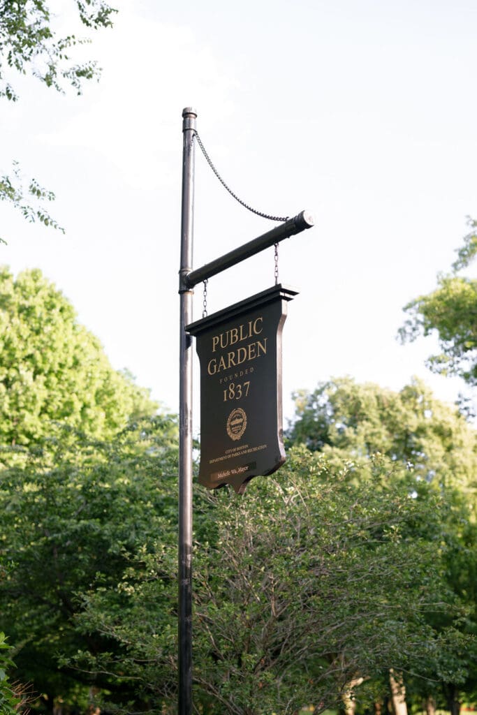 Summer portraits in the Boston Public Garden