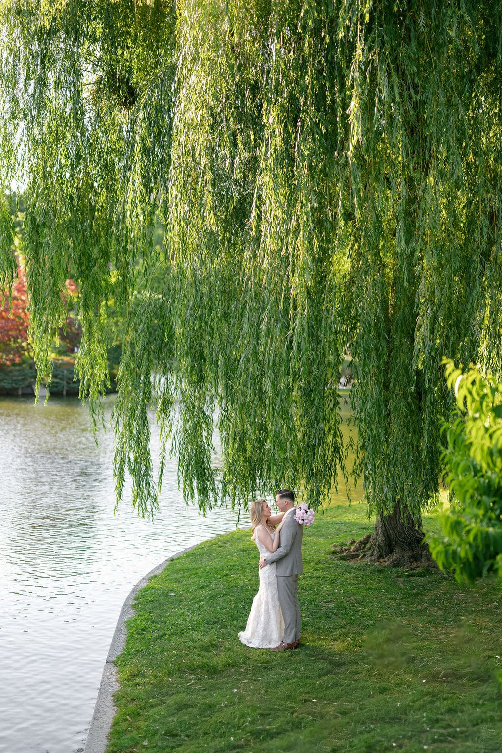 Couple beneath willow trees in the Boston Public Garden